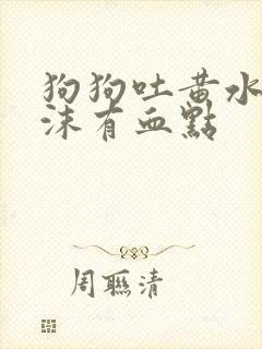 狗狗吐黄水带泡沫有血点