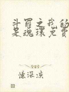 斗罗之我的武魂是魂环免费阅读全