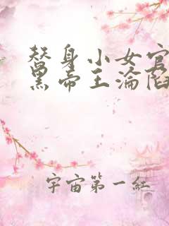 替身小女官,腹黑帝王沦陷了江清慈祁渊的