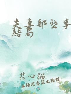 夫妻那些事斯思结局