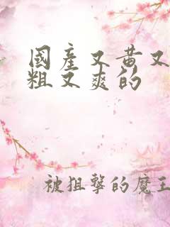 国产又黄又猛又粗又爽的