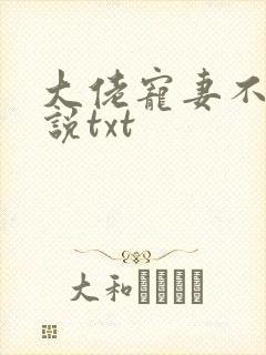 大佬宠妻不腻小说txt