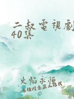 二叔电视剧全集40集