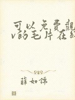 可以免费观看av的毛片在线观看