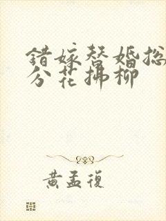 错嫁替婚总裁 分花拂柳