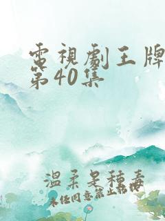 电视剧王牌部队第40集