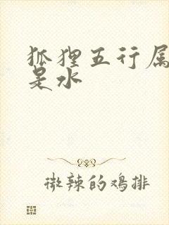 狐狸五行属火还是水