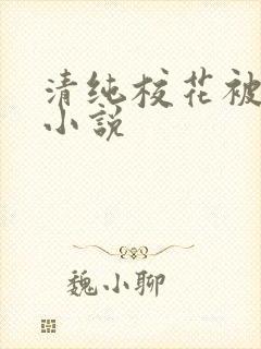 清纯校花被调教小说