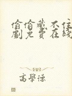 偷偷藏不住电视剧免费在线观看