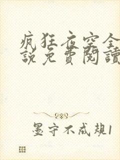 疯狂夜空全文小说免费阅读最新章节列表