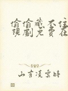 偷偷藏不住 电视剧免费在线观看