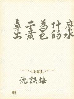 鼻子为什么会流出黄色的水