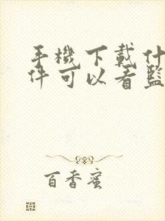 手机下载什么软件可以看监控