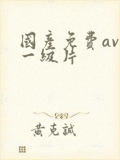 国产免费av.一级片