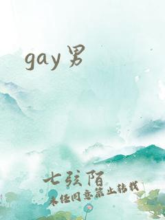 gay男