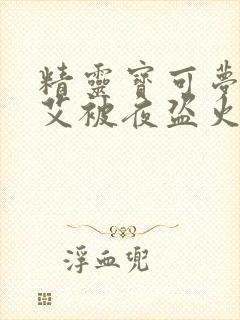 精灵宝可梦莉莉艾被夜盗火蜥