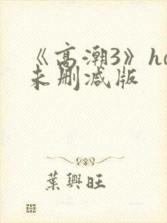 《高潮3》hd未删减版