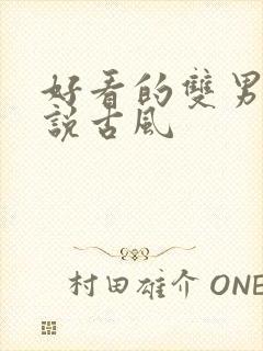 好看的双男主小说古风