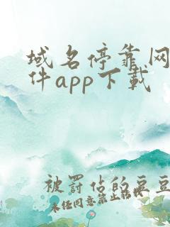 域名停靠网站软件app下载