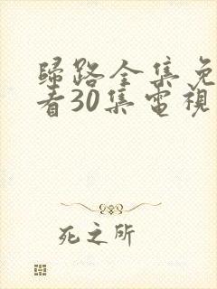 归路全集免费观看30集电视剧