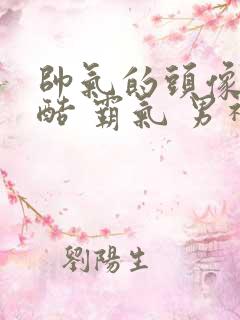 帅气的头像 冷酷 霸气 男神