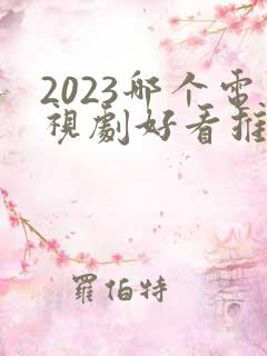 2023哪个电视剧好看推荐一下