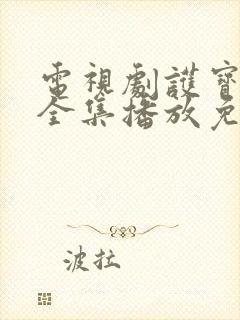 电视剧护宝寻踪全集播放免费观看