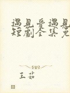 遇见爱遇见幸福短剧全集免费版