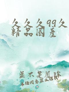 久久久99久久精品国产