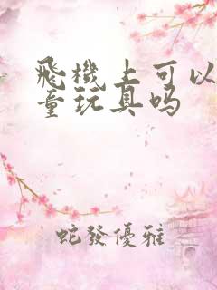 飞机上可以带儿童玩具吗