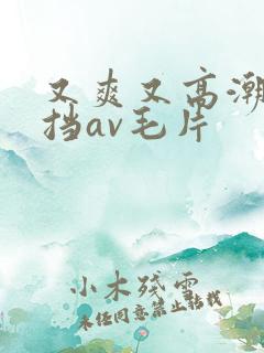 又爽又高潮无遮挡av毛片