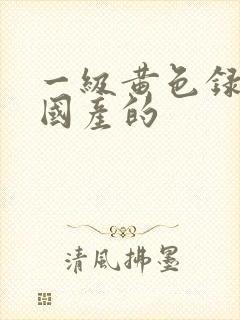 一级黄色录像片国产的