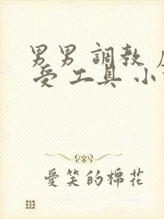 男男 调教 虐 受 工具 小说