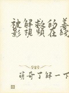 被解救的姜戈电影视频在线观看