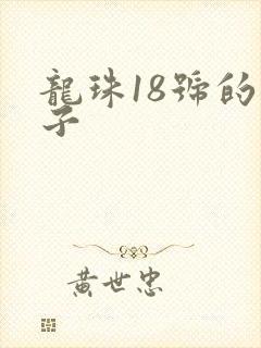 龙珠18号的本子