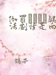 伽罗ちゃんが腿法剧情走向