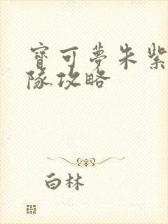 宝可梦朱紫天星队攻略