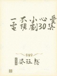 一不小心爱上你电视剧30集