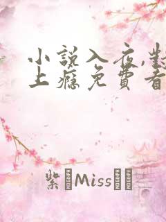 小说入夜,对她上瘾免费看