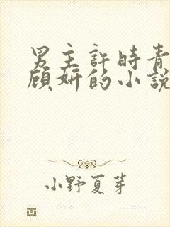 男主许时青女主顾妍的小说