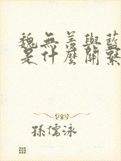 魏无羡与蓝忘机是什么关系