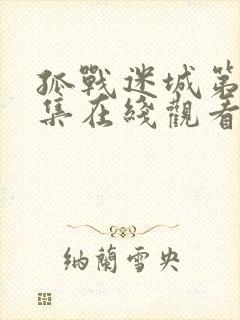 孤战迷城第28集在线观看