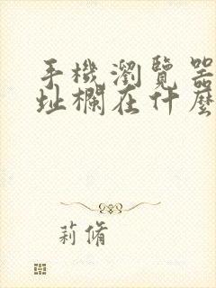 手机浏览器的地址栏在什么位置