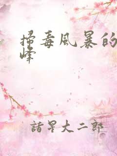 扫毒风暴的林强峰