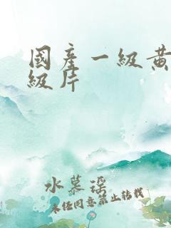 国产一级黄色一级片