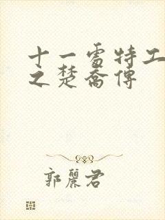 十一处特工皇妃之楚乔传