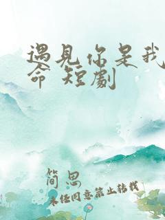 遇见你是我的宿命 短剧