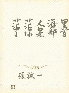 茫茫人海里遇见了你是哪首歌