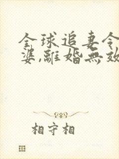 全球追妻令:老婆,离婚无效