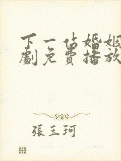 下一站婚姻电视剧免费播放